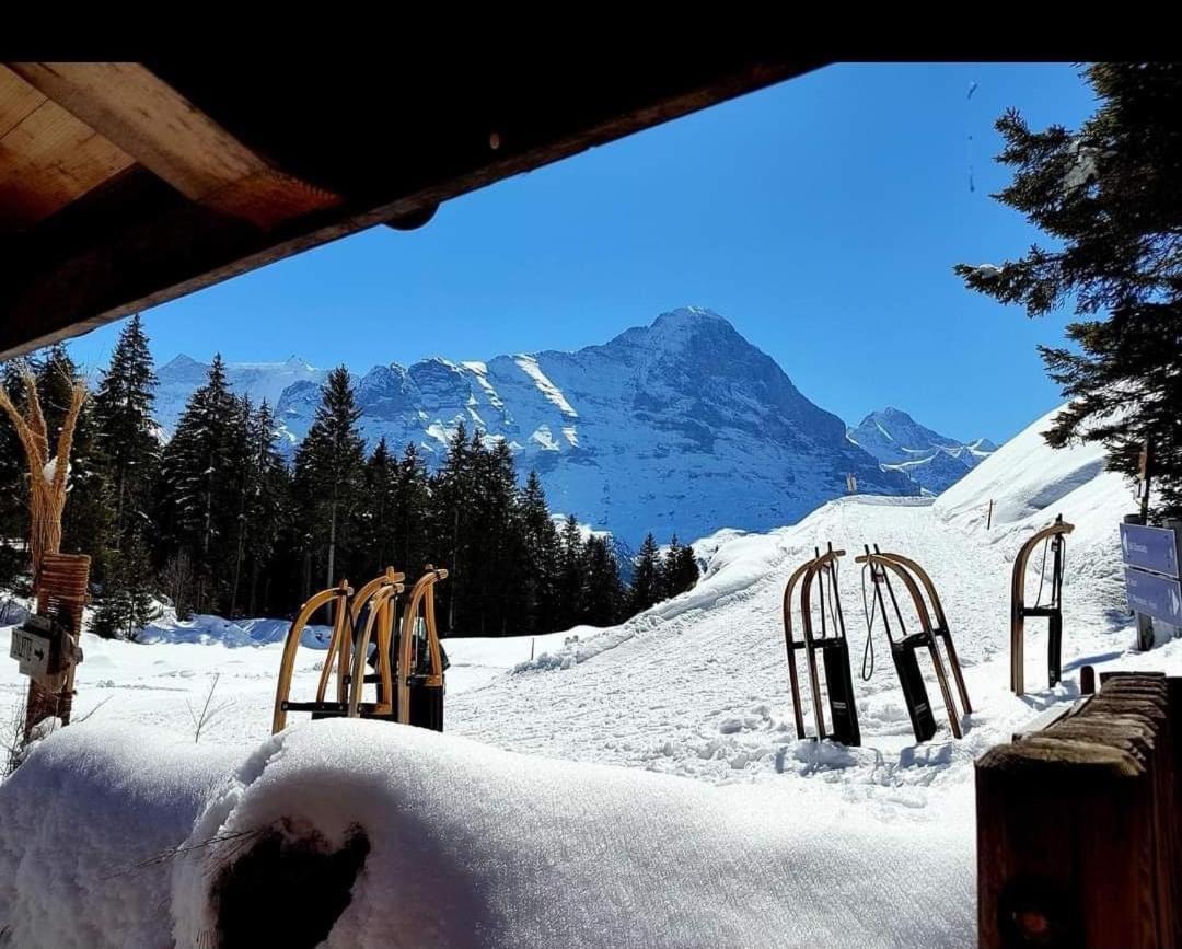 Ferienwohnung Talhaus Lauterbrunnen Ngoại thất bức ảnh